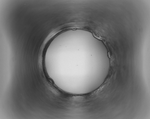 X0000112210150200908281507