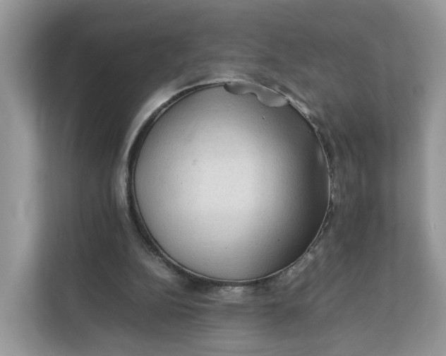 X0000112210152200908281507