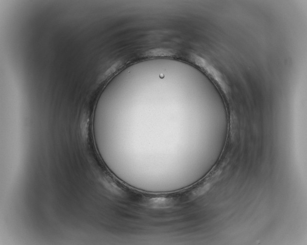 X0000112210153200908281507