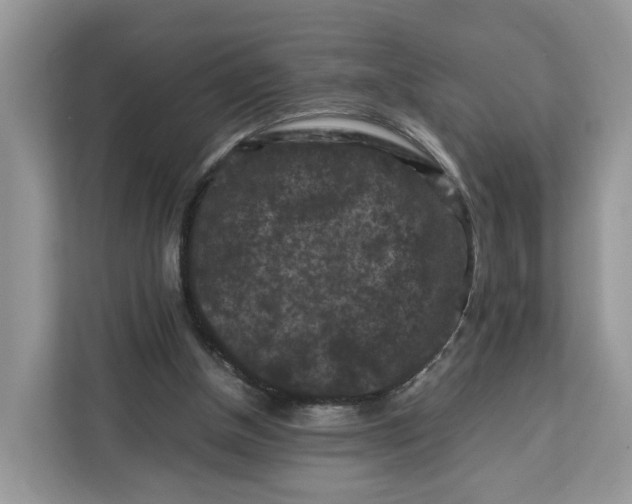 X0000112210154200908281507