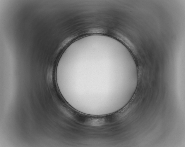 X0000112210155200908281507