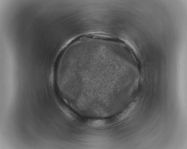 X0000112210156200908281507