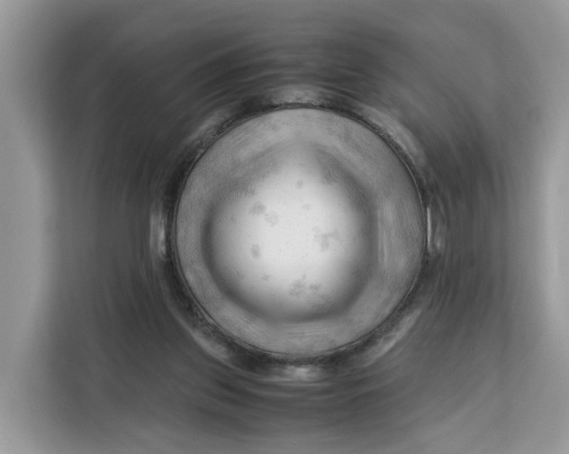 X0000112210157200908281507