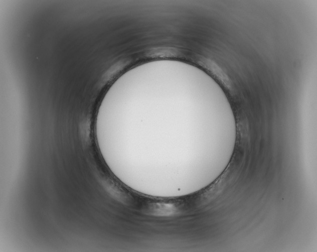X0000112210159200908281507