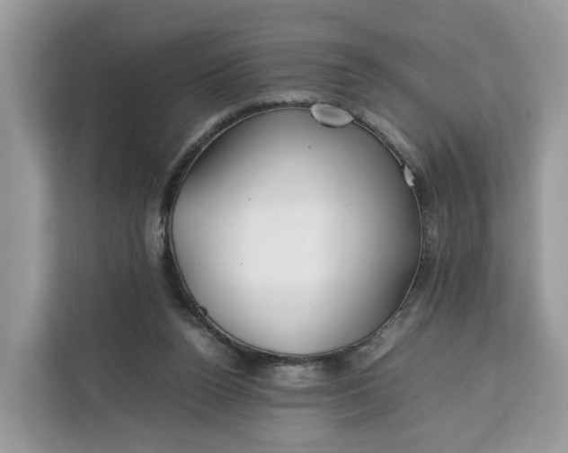 X0000112210160200908281507