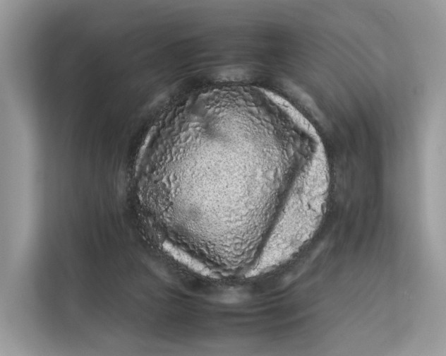 X0000112210161200908281507