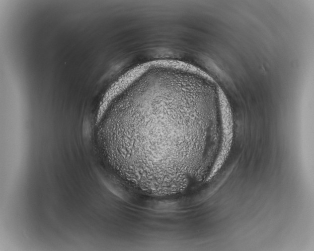X0000112210165200908281507