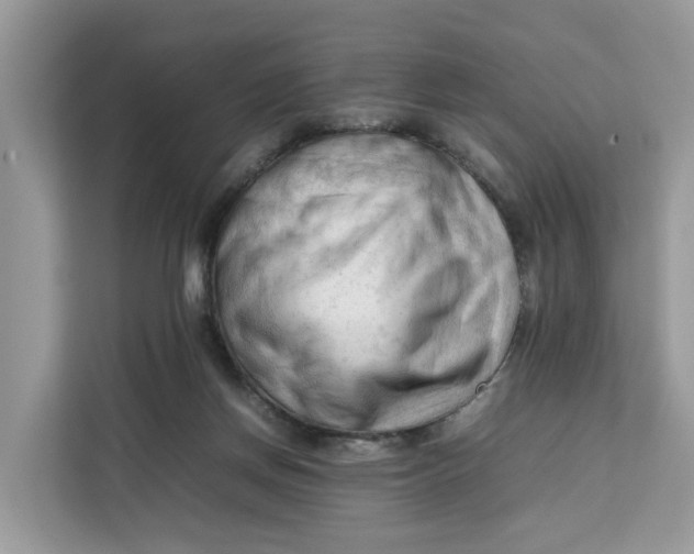X0000112210166200908281507