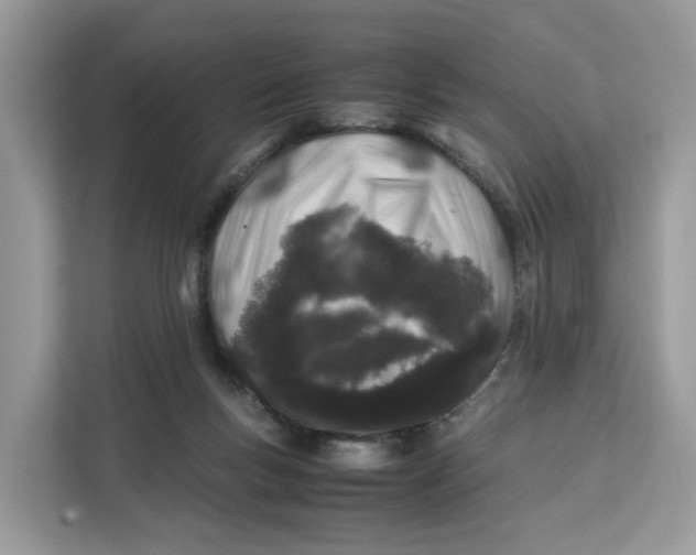 X0000112210167200908281507