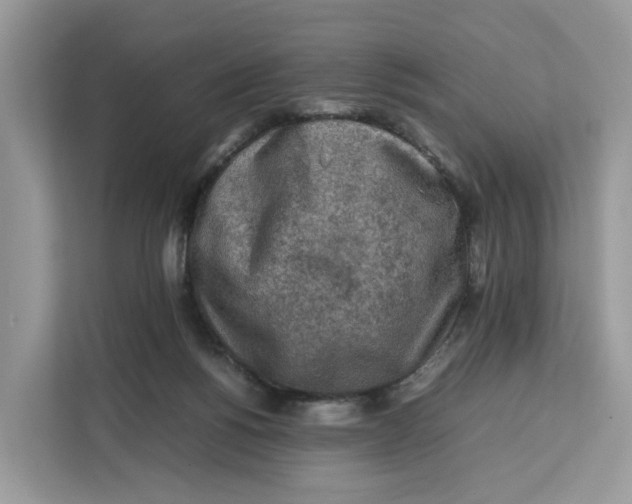 X0000112210168200908281507