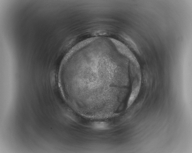 X0000112210169200908281507