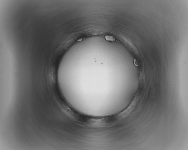 X0000112210170200908281507