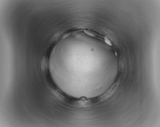 X0000112210172200908281507
