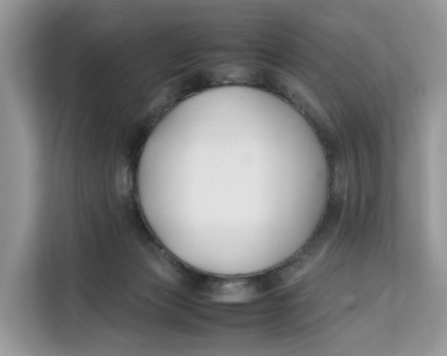 X0000112210173200908281507