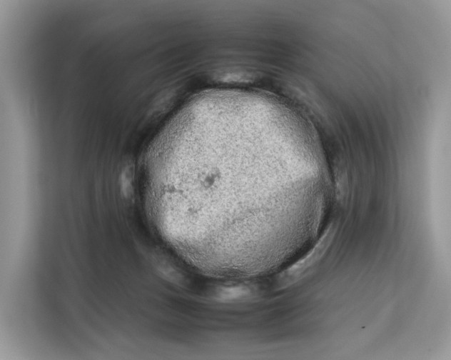 X0000112210175200908281507