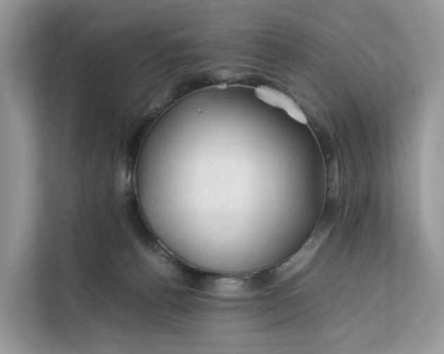 X0000112210176200908281507