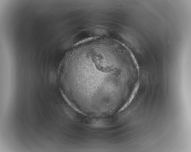 X0000112210177200908281507