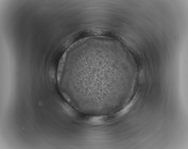 X0000112210178200908281507