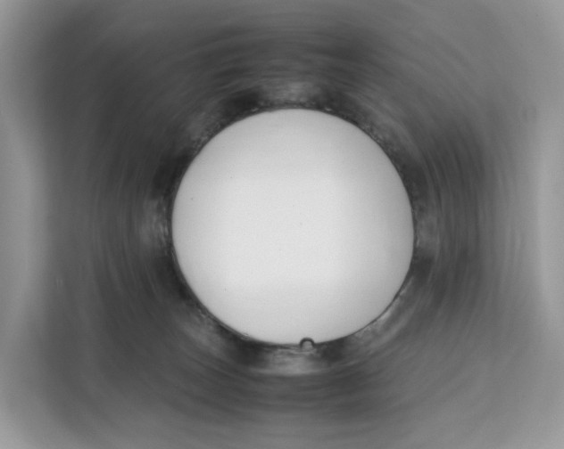 X0000112210179200908281507