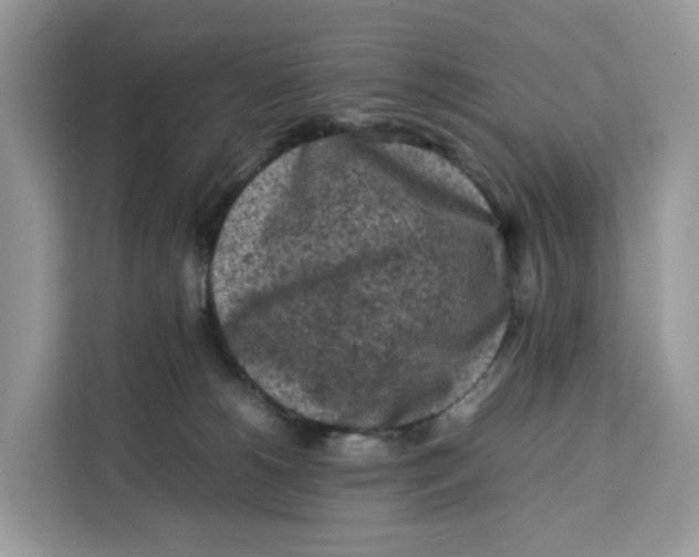 X0000112210180200908281507