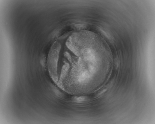 X0000112210181200908281507