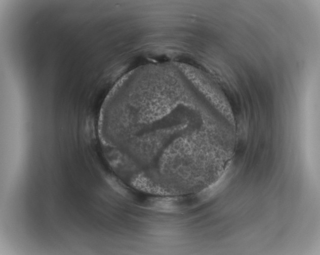 X0000112210182200908281507