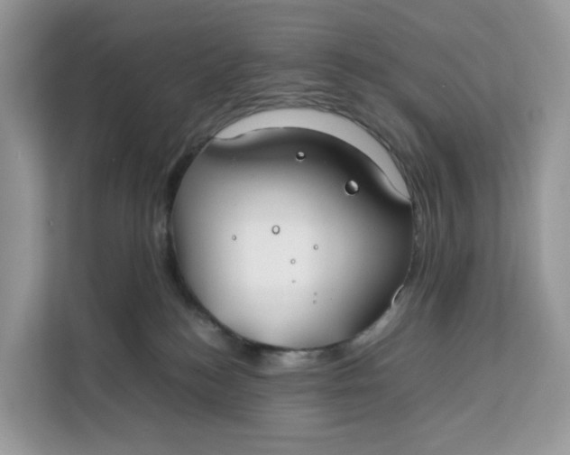 X0000112210184200908281507