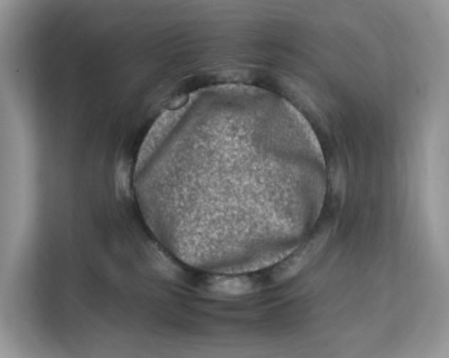 X0000112210185200908281507