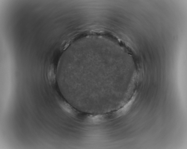 X0000112210186200908281507