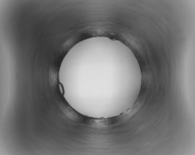 X0000112210188200908281507