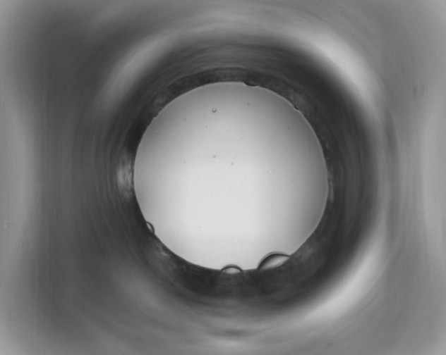 X0000112210190200908281507