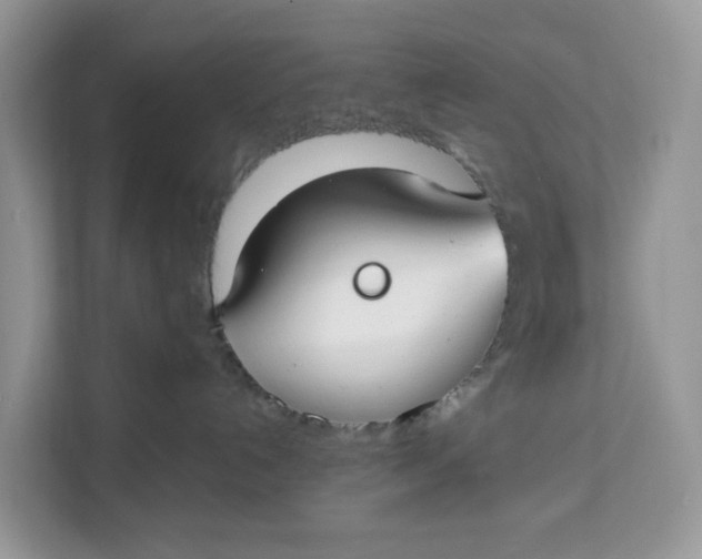 X0000112210192200908281507