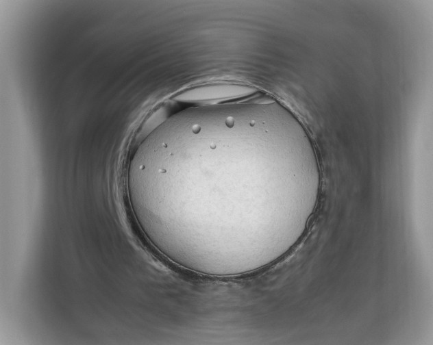 X0000112210193200908281507