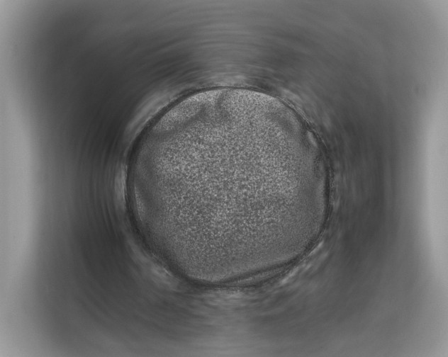 X0000112210194200908281507