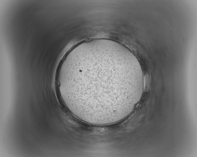 X0000112210195200908281507