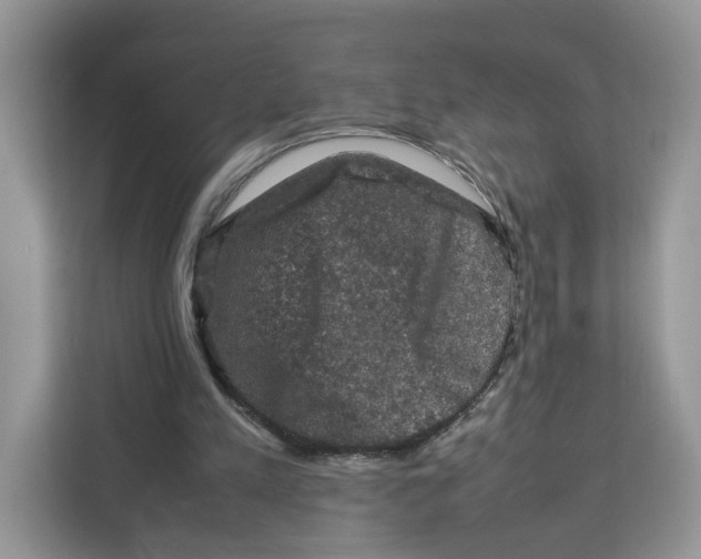 X0000112210197200908281506