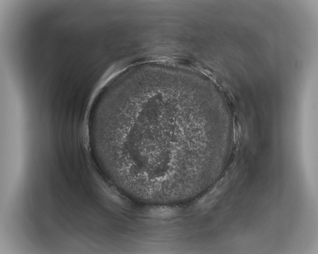 X0000112210198200908281506