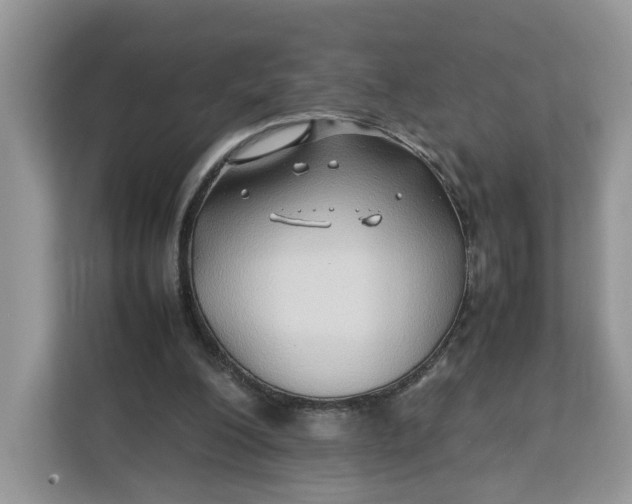 X0000112210200200908281506