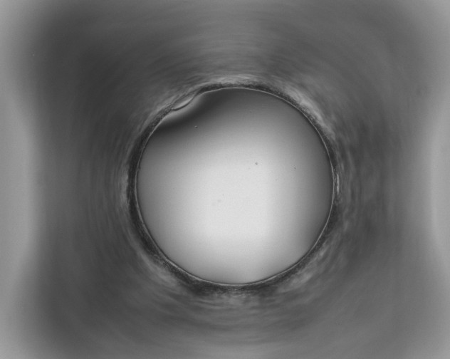 X0000112210201200908281506
