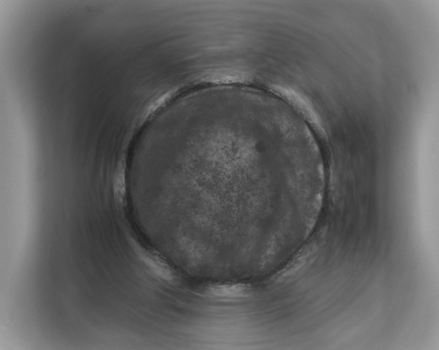 X0000112210202200908281506