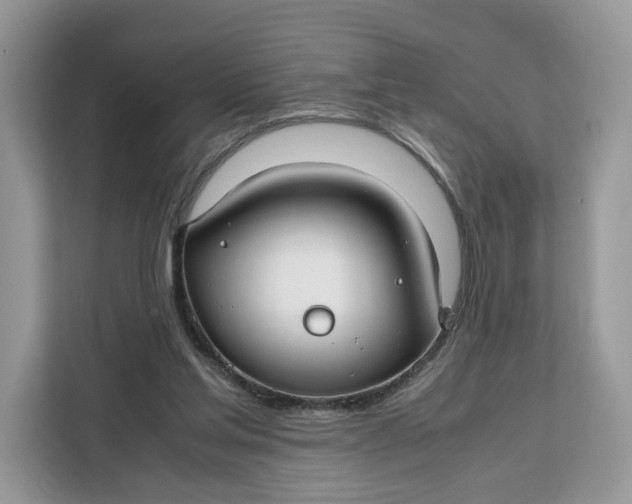 X0000112210205200908281506
