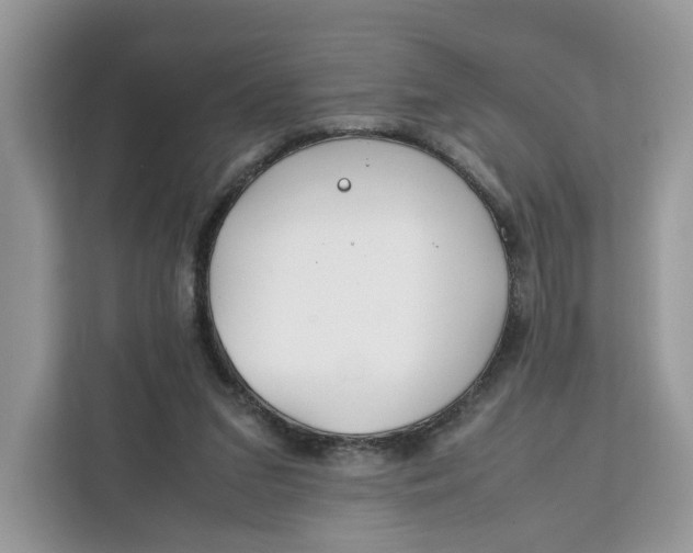 X0000112210207200908281506