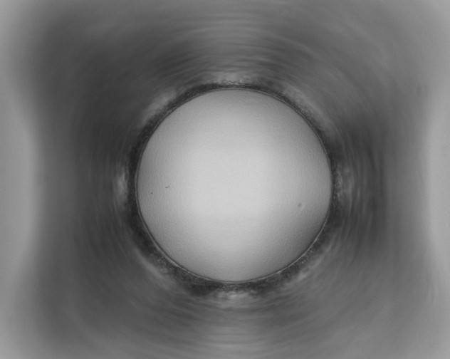 X0000112210208200908281506