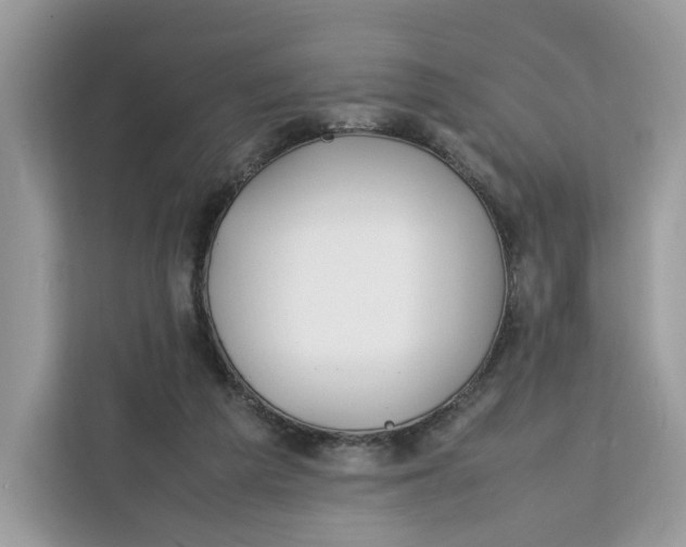 X0000112210209200908281506