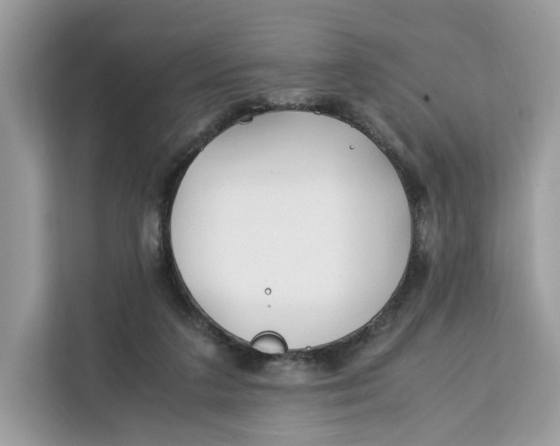 X0000112210211200908281506