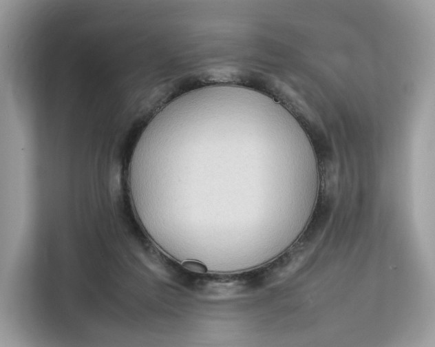 X0000112210213200908281506
