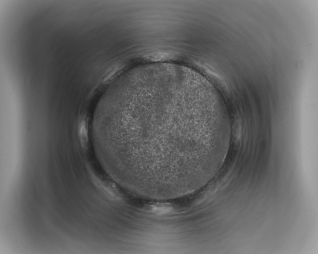X0000112210214200908281506