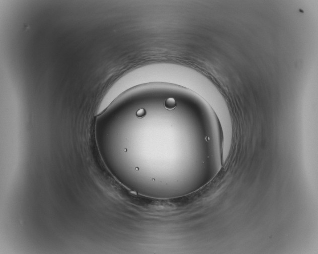 X0000112210215200908281506