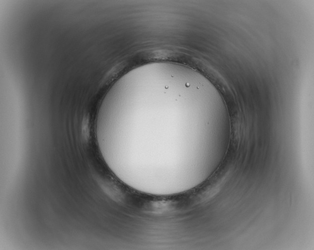 X0000112210216200908281506