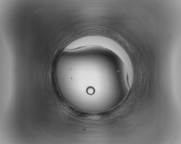 X0000112210217200908281506